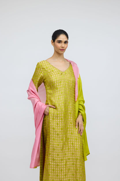 Crescent Field Hand Dyed Silk Dupatta